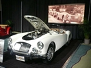 torontoshowmg_4