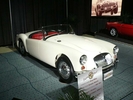 torontoshowmg_5