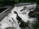DSCN0208