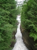 DSCN0214