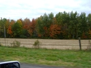 DSC06528