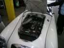 DSCN0824