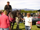 Stowe 2008 _10_