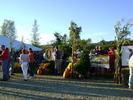 Stowe 2008 _1_