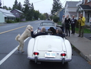 2012 Fall colour - Grrrrrroff my MGA