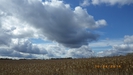 fcr_2014_012