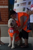 Daisy gets set to greet folks at Meet The Mascot
