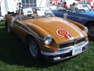 101_corralls-b