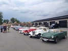 Participant Cars