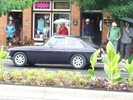 black-tulip-notl-2-1