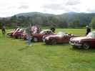 Red cars
