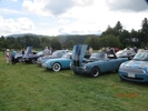 Blue cars