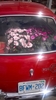 mike_and_bernadette_went_garden_shopping_on_the_run