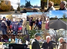 2011