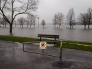 Drive_Your_MG-eh!_Day_event_cancelled_due_to_rain_2017_002