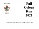 Fall_Colour_Run_2021_link