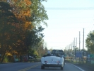 DSCF9726