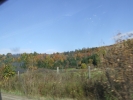 DSCF9752