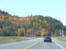 DSCF9811