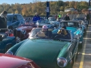 fall_colour_run_2018_andrew_penny_001_on_the_ferry