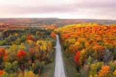 Fall_Colour_Run_2026