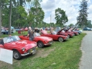 red_MGBs