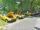 yellow_MGBs